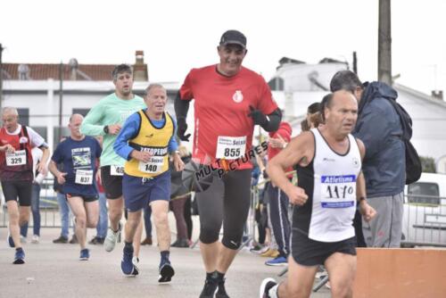 _DSC5103