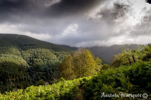DSC_0006