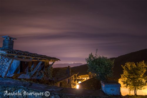 DSC_0280