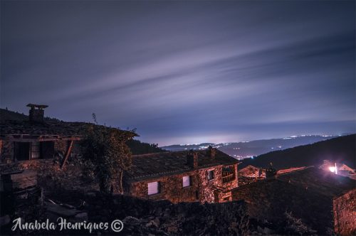 DSC_0286